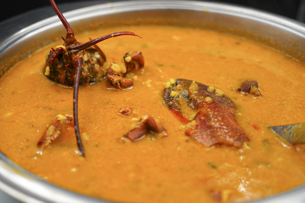 Bogavante caldoso. Trashumante Soria.